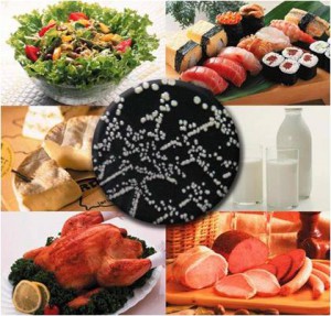 inspeccion de alimentos