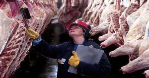 U.S. beef industry faces new policies and testing for mad cow di