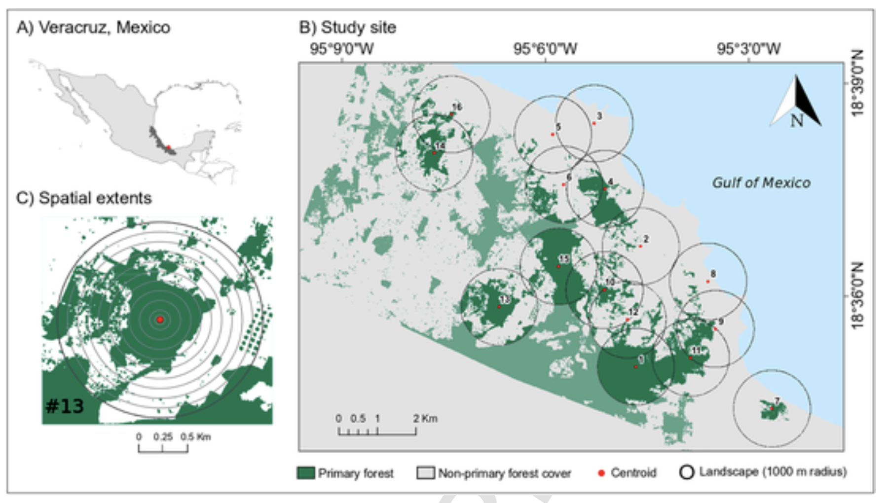 Scale of effect matters: Forest cover influences on tropical ant-plant ecological networks