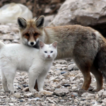 Captura de pantalla 2014-11-09 a la(s) 13.04.34