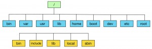 Estructura Linux
