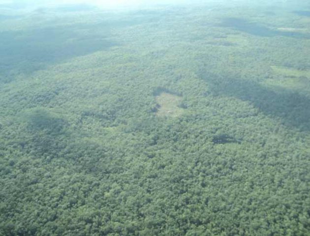 La Selva Maya es una de las zonas forestales mejor conservadas por los beneficios económicos y servicios ambientales 