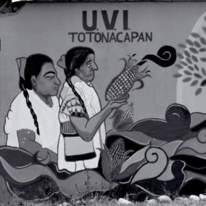 Mural de un edificio de la uvi Sede Totonacapan, 2017. Col. Archivo de la UVI. Sede Totonacapan.