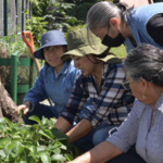 Imagen UV coadyuva al desarrollo social del municipio de Xalapa