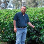 Imagen Andrés Rivera, científico consagrado al mejoramiento genético del café