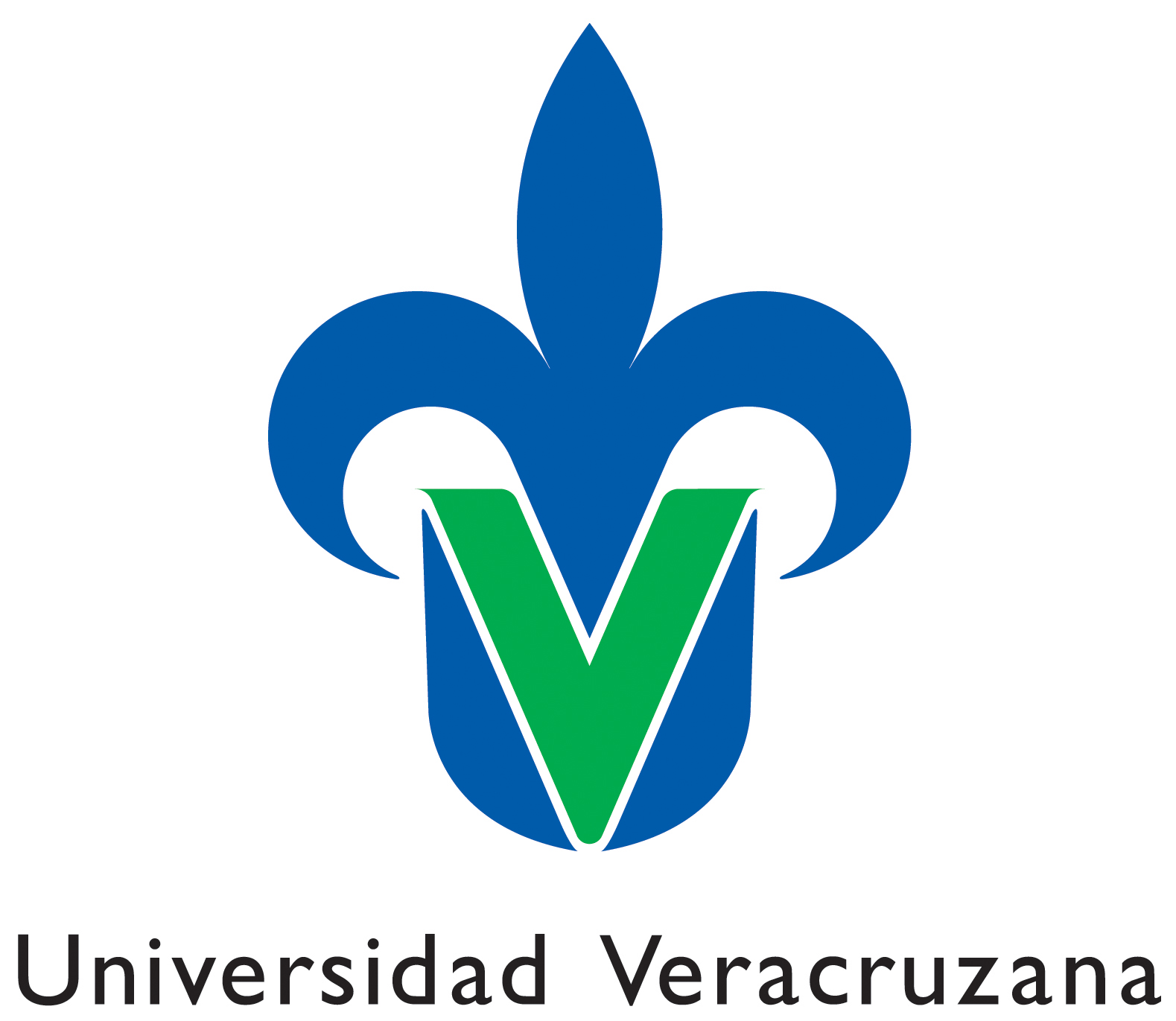 Resultado de imagem para Universidad Veracruzana