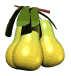 Pear-01.gif (7065 bytes)