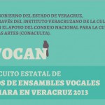 Imagen Primer Circuito Estatal de Conciertos Didácticos de Ensambles Vocales y Orquestas de Cámara en Veracruz 2013