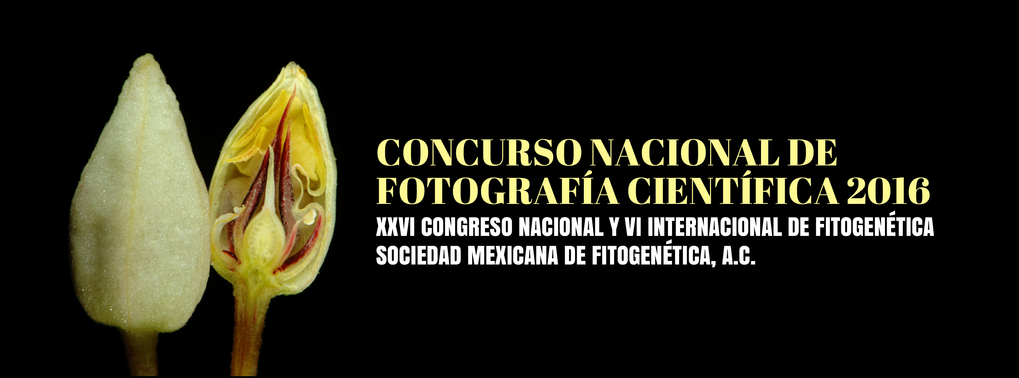 CONCURSO NACIONAL DE FOTOGRAFÍA CIENTÍFICA 2016
