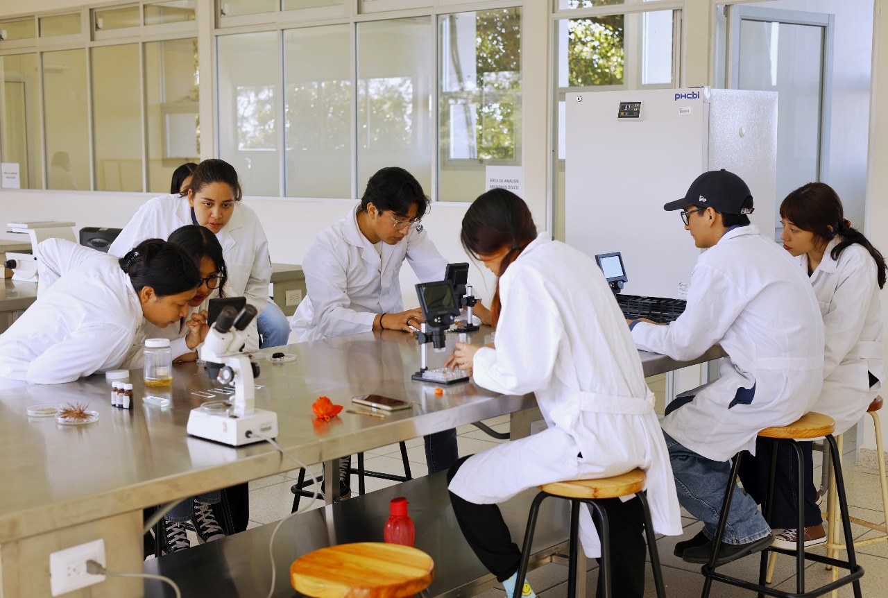 Imagen representativa de la sección 