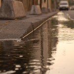 Imagen Entre las demandas reivindicativas y ambientales. José Cruz Agüero Rodríguez, Resultados de investigación individual, 3