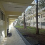 Imagen La deserción escolar en la Facultad de Idiomas: perspectivas de la comunidad educativa. María Magdalena Hernández Alarcón y Óscar Manuel Narváez Trejo (coords.), Resultados de investigación colectiva, 7