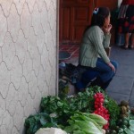 Imagen Desarrollo de las Metrópolis Veracruzanas 2000-2010. Tomo II Desarrollo Social. Beatriz Torres Beristain, Jordi Vera Cartas (coords.), Resultados de investigación colectiva, 4