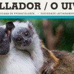 Imagen Laboratorio Multimedia X-Balam colabora con SLAPrim