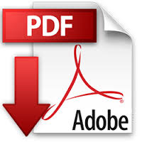 icono PDF