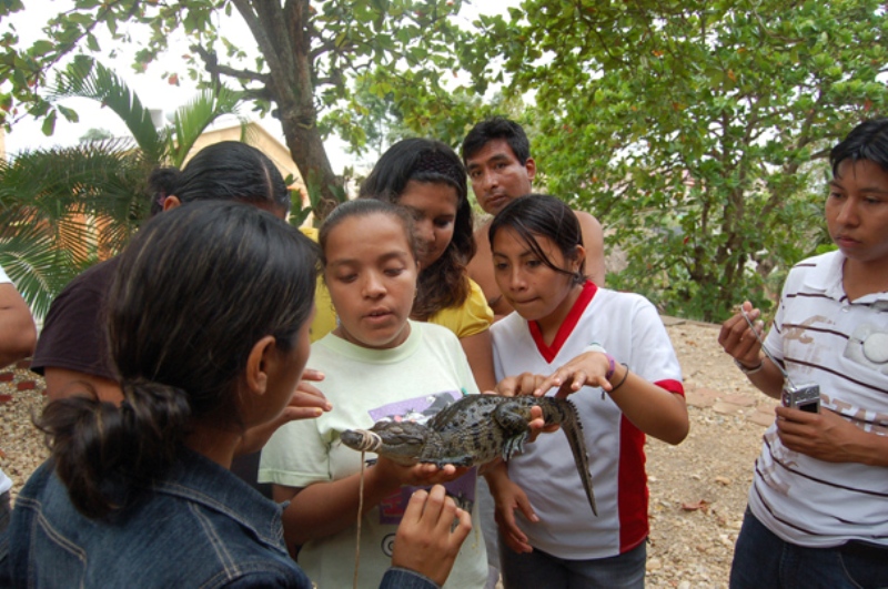 Quetzalli 1 En Quetzalli se resguardan temporalmente animales silvestres incautados