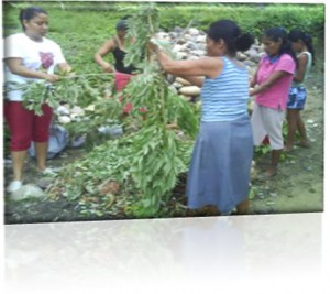 Foto: Raúl Reyes Ticante Foto: Raúl Reyes Ticante