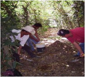 Taller donde se elaboró un abono orgánico llamado bocashi (Foto: Liliana López)