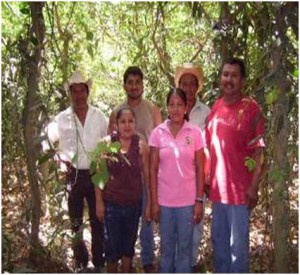 Los Vainilleros de la comunidad de Paso de Valencia (Foto: Liliana López)