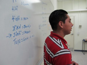 hebert_cursonahua2011_14