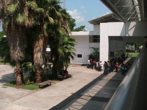 UVI: inscripciones a Experiencias AFEL en Campus Poza Rica