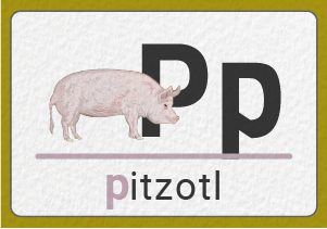 pitzotl