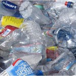 Imagen Universitarios crearon vivero con botellas de plástico usadas