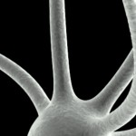 Imagen Enfermedades prostáticas podrían tener origen neuronal
