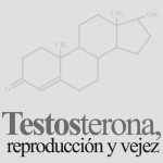 Imagen TESTOSTERONA, REPRODUCCIÓN Y VEJEZ