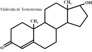 029-TESTOSTERONA-FIGURA 2