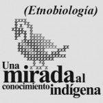 Imagen UNA MIRADA AL CONOCIMIENTO INDÍGENA  (ETNOBIOLOGÍA)