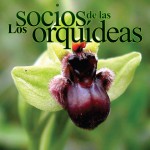 Imagen LOS SOCIOS DE LAS ORQUÍDEAS