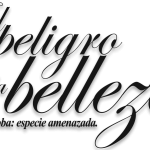 Imagen EL PELIGRO DE LA BELLEZA  (Caoba: especie amenazada)