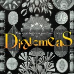 Imagen MÁS QUE BELLEZAS MICROSCÓPICAS  (Diatomeas)