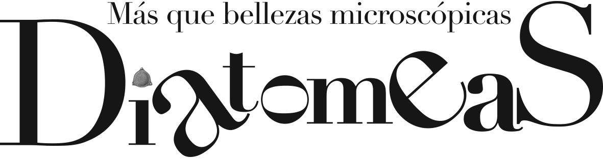009-CYL-DIATOMEAS-TÍTULO