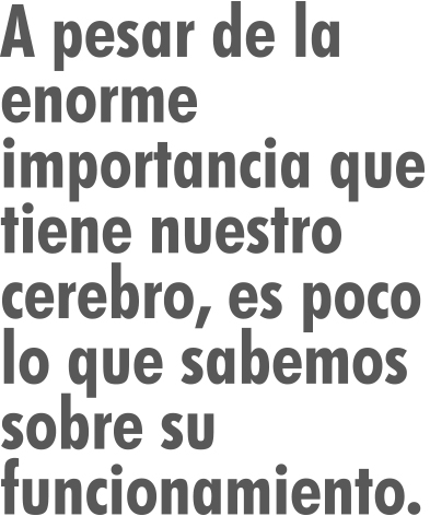 011-CYL-SEMANA DEL CEREBRO-BALAZO-02