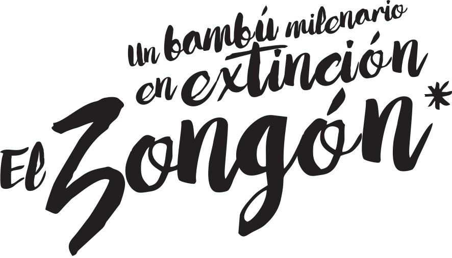 017-CYL-EL ZONGON-TÍTULO