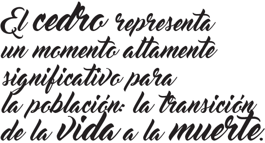 018-CYL-EL LUJO DE LA MUERTE-BALAZO 01