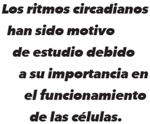 020-CYL-LA HORA DE LOS VENENOS-BALAZO 02