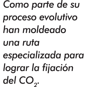 021-CYL-LAS PLANTAS DEL FUTURO-BALAZO-01