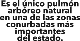 026-CYL-ARROYO MORENO-BALAZO-01