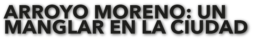 026-CYL-ARROYO MORENO-TÍTULO