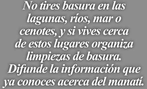 028-CYL-MANATÍES-BALAZO 01