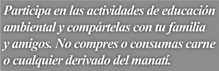 028-CYL-MANATÍES-BALAZO 02