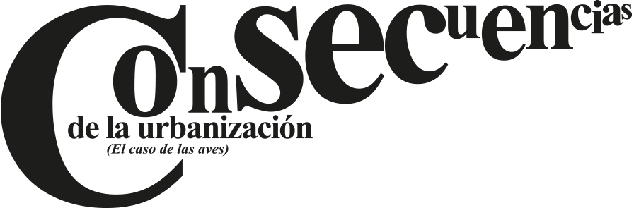 030-CYL-AVENTURÁNDOSE-TÍTULO