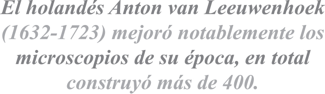 033-CYL-MICROSCOPIA-BALAZO-01