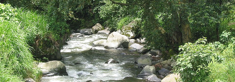 los-rios-ofrecen-importantes-servicios-ambientales