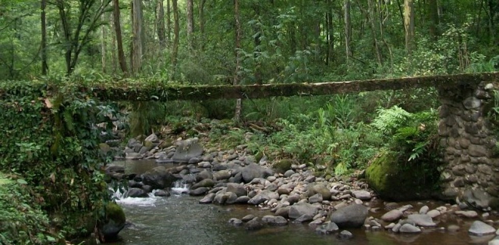 rio-pixquiac-2rooecllexawr49iadrmkq