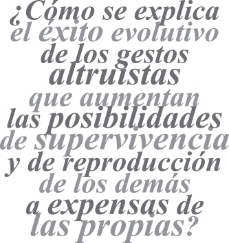 038-cyl-altruismo-balazo-01