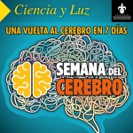 Imagen UNA VUELTA AL CEREBRO EN 7 DÍAS  (Semana Internacional del Cerebro)